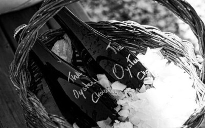 Oysters-Experience-47