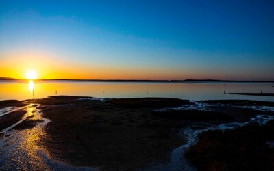 Oysters-Experience-13