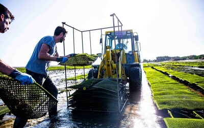 Oysters-Experience-38