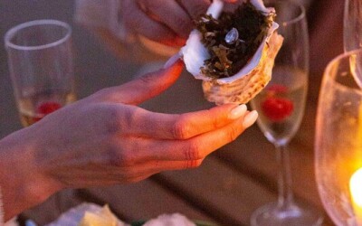 Oysters-Experience-72