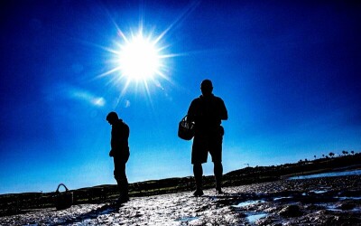 Oysters-Experience-36