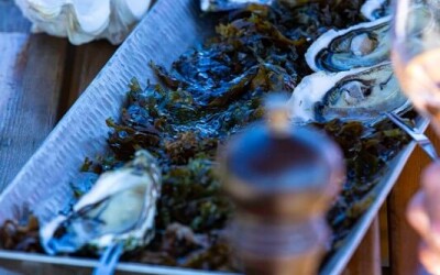 Oysters-Experience-62