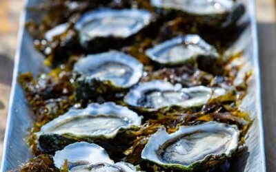 Oysters-Experience-60