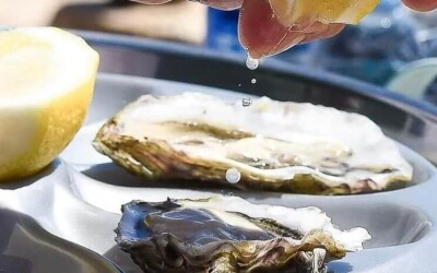 Oysters-Experience-02