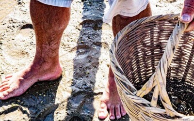 Oysters-Experience-35