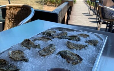Oysters-Experience-45