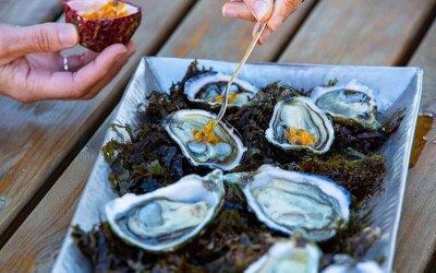 Oysters-Experience-65