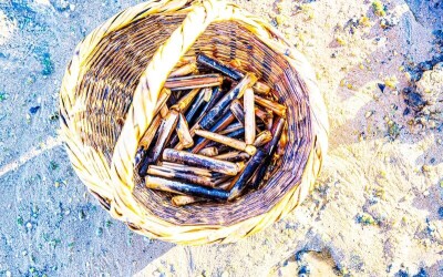 Oysters-Experience-22