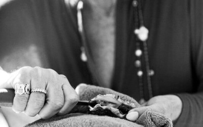 Oysters-Experience-53