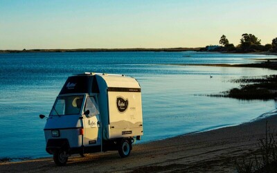 Oysters-Experience-69