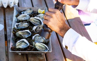 Oysters-Experience-64