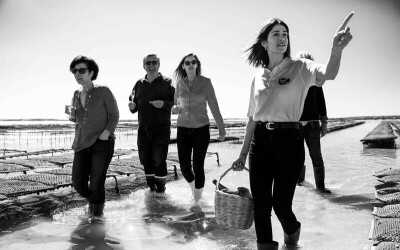 Oysters-Experience-54