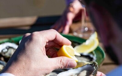 Oysters-Experience-57