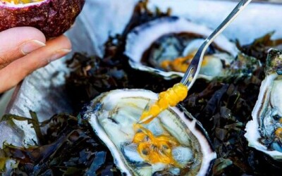 Oysters-Experience-68