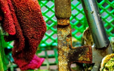 Oysters-Experience-26