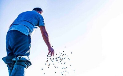 Oysters-Experience-21