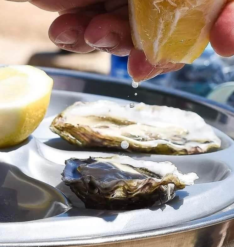 Oysters-Experience-02