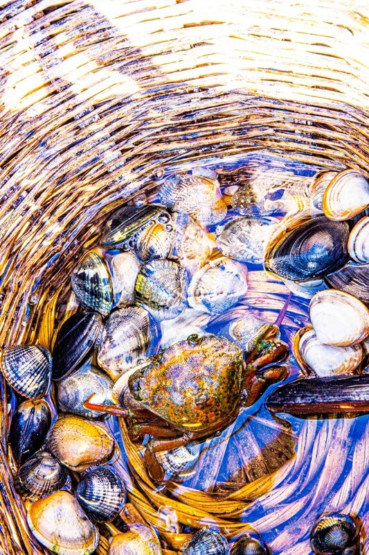 Oysters-Experience-30