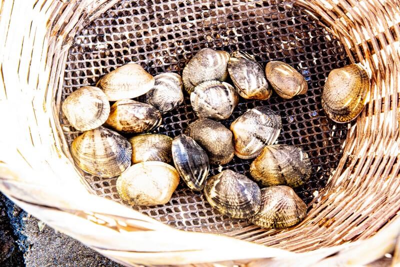 Oysters-Experience-34