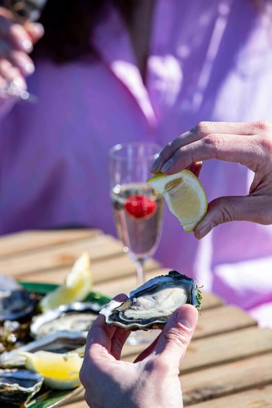 Oysters-Experience-58