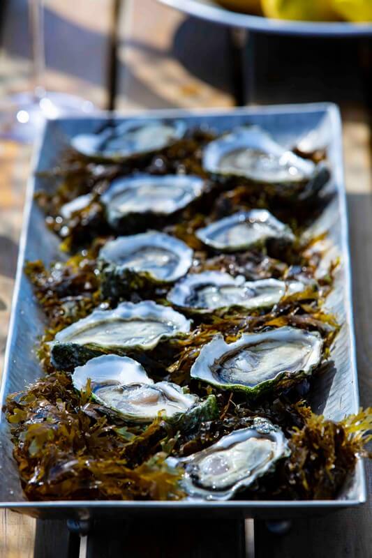 Oysters-Experience-60