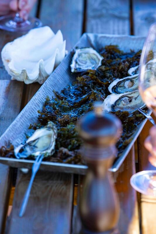 Oysters-Experience-62