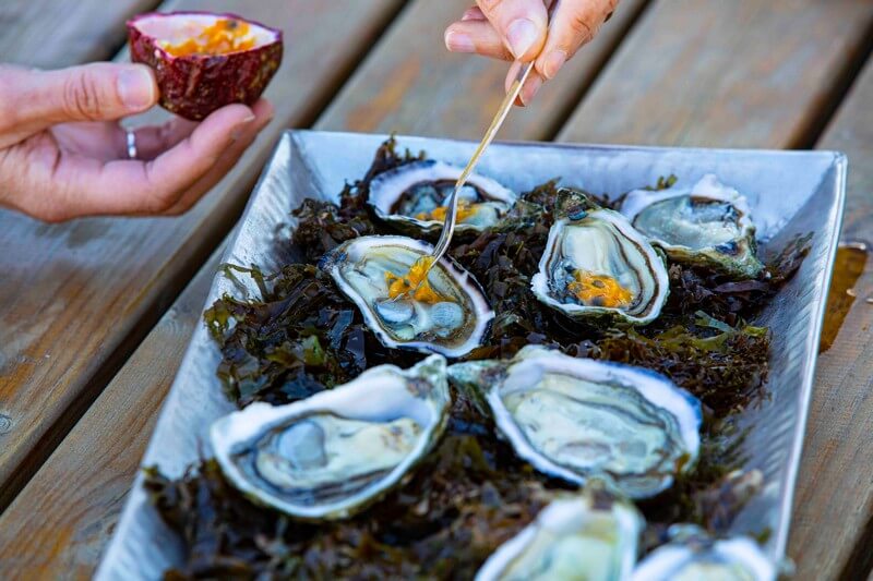 Oysters-Experience-65