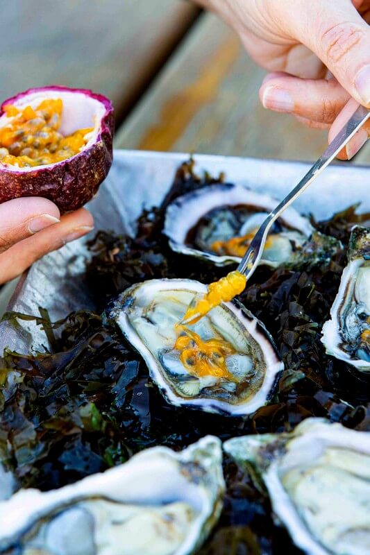 Oysters-Experience-68
